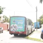 acarreo2