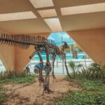 dino3